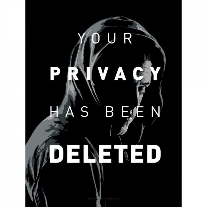 mr-robot-your-privacy-has-been-deleted-giclee-print-18-x-24-653_1000